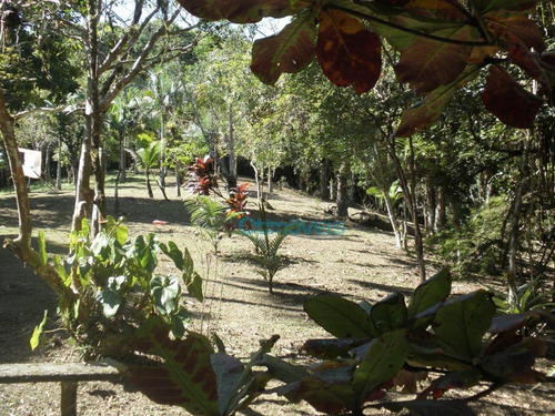 Imagem 2 de 12 de Chácara À Venda, 30000 M² Por R$ 500.000,00 - Saíva - Antonina/pr - Ch0027