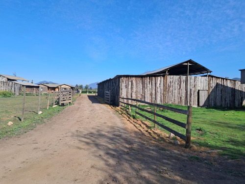 Venta De Parcela Melipilla- Mallarauco
