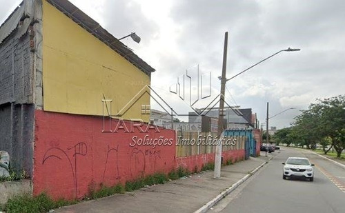 Imagem 3 de 6 de Terreno - Cidade Patriarca - Ref: 9787 - L-9787