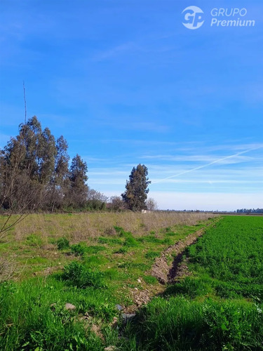 Parcela En Venta En Chimbarongo