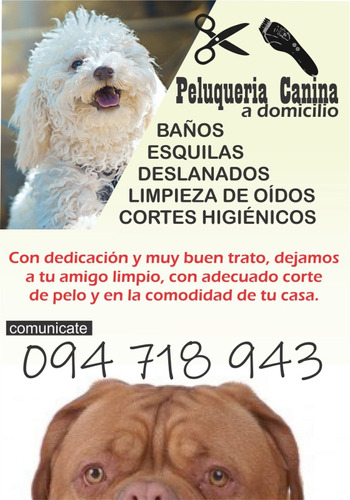 Peluquería Canina A Domicilio 