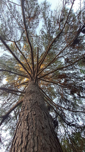 Terreno En Venta, Parque Natura, Los Cardales