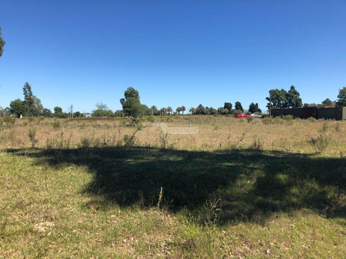Venta Terreno Manga Camino El Cordero 36980m2 A Mts. Camino Pedro De Mendoza E Instrucciones