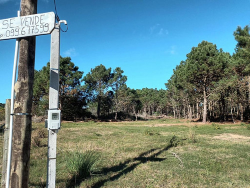Terrenos En Punta Del Diablo, Zona Avenida Central, Bosque.