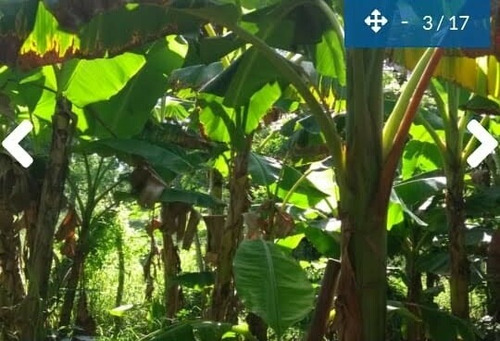 Lote En Montería
