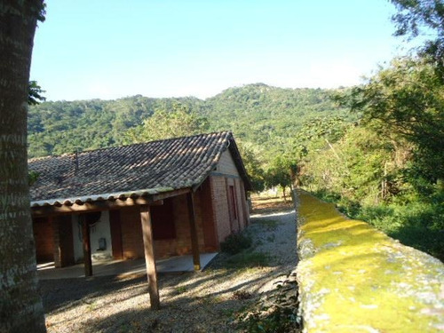 Imagem 4 de 7 de Terreno Comercial À Venda, Cachoeira Do Bom Jesus, Florianópolis. - Te0203