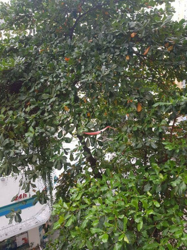 Imagem 3 de 23 de Apartamento Com 2 Dormitórios À Venda, 65 M² Por R$ 650.000,00 - Flamengo - Rio De Janeiro/rj - Ap5501