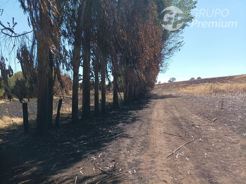 Imagen 5 de 17 de Terreno Agrícola En Venta En Victoria