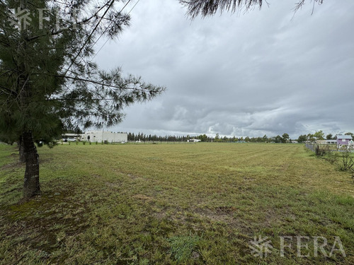 Venta De Terreno En Campos De Roca Ii