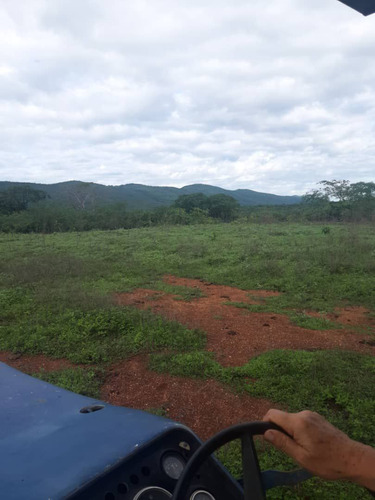 En Venta Finca En San Carlos Cojedes Asesor Carlos Daniel