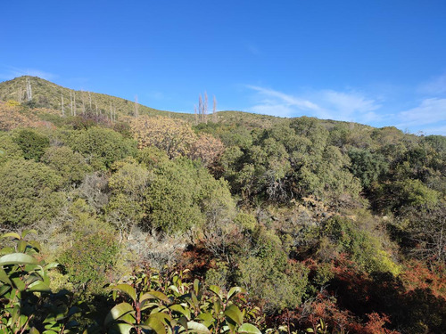 En Venta 5 Hectareas Con Arroyo En San Javier Con Escritura, Traslasierra!!