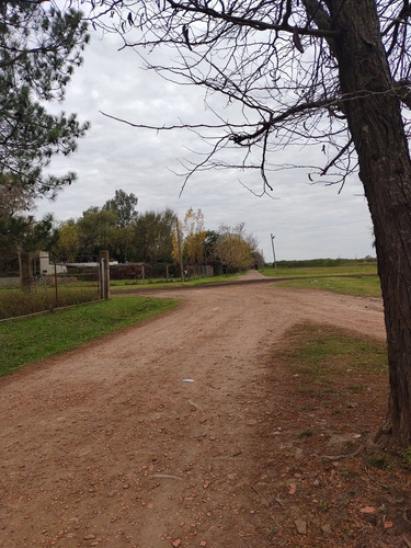 Gran Lote De Terreno A Una Cuadra De Ruta 34 S
