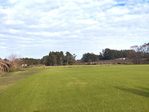 Se Vende Campo Deportivo Con Canchas De Futbol