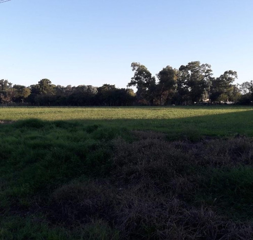 Lote En Venta En Virrey Del Pino