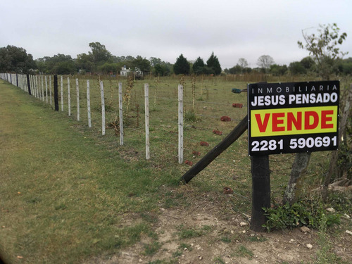 Venta Lote De Quinta Tapalque