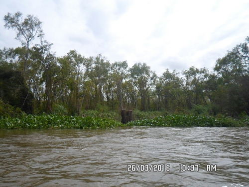 Imagen 1 de 7 de Entre Rios Delta Ibicuy , 249 Ha Rio Gutierrez Y Rio Uruguay