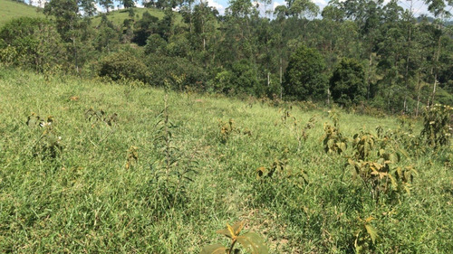 Imagem 7 de 17 de C05 - Lotes A Venda A Partir De 35.000!