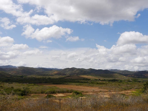 Imagen 24 de 30 de Linda Granja Con Más De 2 Hectáreas A Sólo 15 Minutos De Bqto En Venta En Carretera Rastrojitos-tacariguita, Municipio Crespo, Lara, Venezuela. Arnaldo Lopez Tlf. 04245257450 Cod. 22-18806