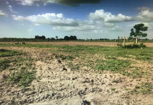 Imagen 7 de 9 de Se Vende Finca En Curiepe, Maturin Ve02-1352cem-scor