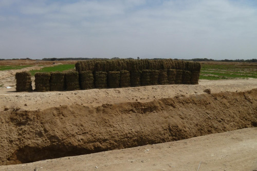 Imagen 8 de 8 de Por Viaje_predio Agrícola_pueblo Nuevo_la Libertad 13.66 Has