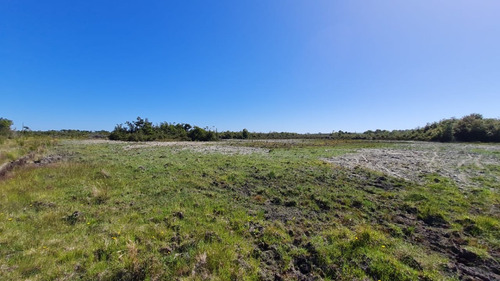 Parcela 10.000 M2 (1 Hectárea) - La Pasada - Maullín