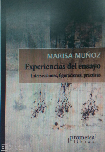 Experiencias Del Ensayo - Marisa Muñoz