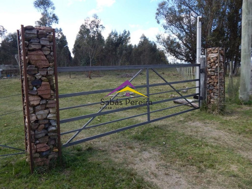Imagen 2 de 24 de Chacra En Venta 15ha, Ruta 12 Lavalleja