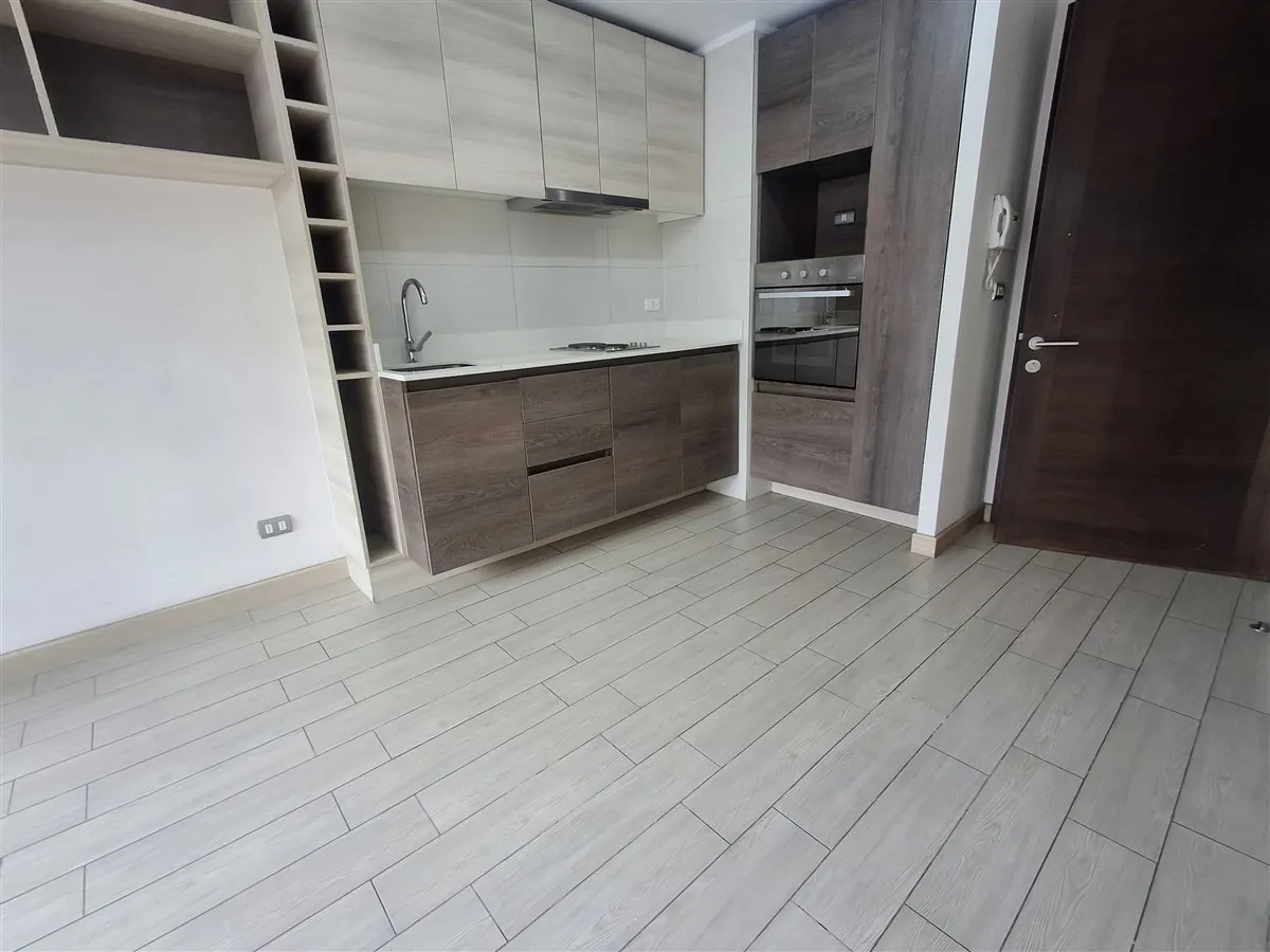 Imagen 4 de 28 de Departamento En Arriendo De 1 Dorm. En Santiago