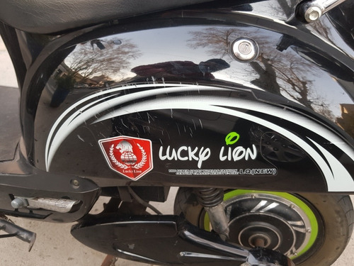 Lucky Lion Cute 1