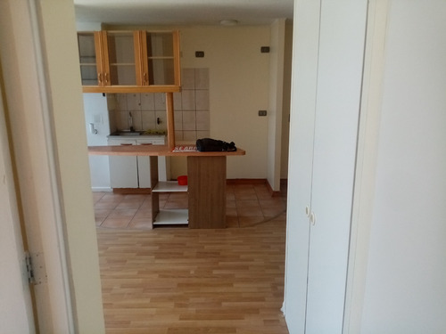 Se Arrienda Amplio Depto 1 Dormitorio En Toesca