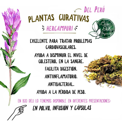 Hercampuri En Capsulas 100 500mg Naturalmaxx
