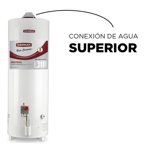 Termotanque A Gas Sherman By Rheem De Pie 80 Lts C. Superior