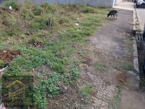 Imagem 4 de 6 de Terreno Com 500,50m² Em Quatro Barras - Te00021 - 32917423
