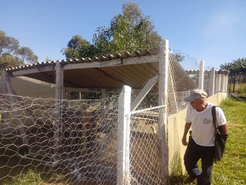 Imagem 2 de 10 de Chácara 36000m2, Casa Sede Com Churrasqueira, Pomar Formado, Galinheiro, Mina De Água Natural, Todo Cercado, Piquete, Ótima Localização - Ch00172 - 70264347