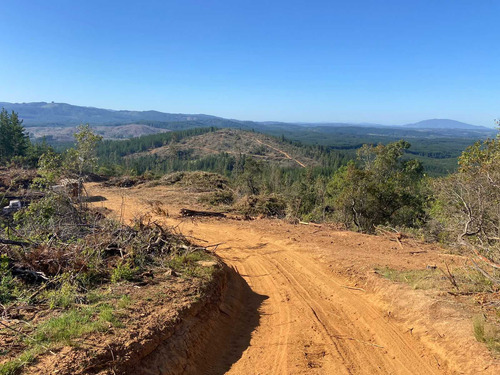 Bosque Con Manejo Cauquenes Inversión (63196)