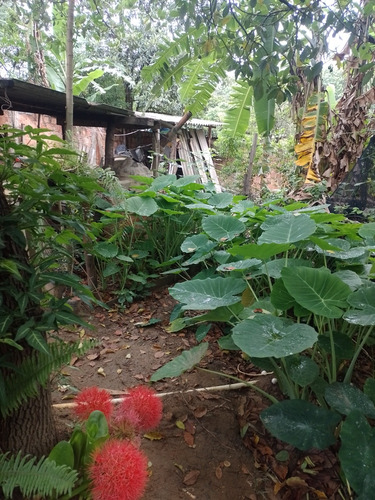 Vendo Casa Em Itaguaí, Na Amendoeira, Parte De Cima.