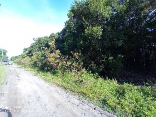 Imagem 6 de 10 de Lote De Chácara De 2.400 Mts Em Itanhaém Sp | Entrada 35 Mil