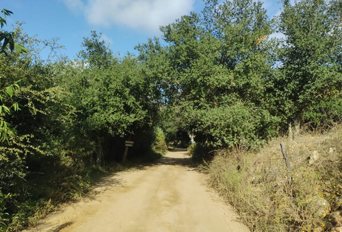 En Venta Terreno De 2500 Mts Opcion A 1 Hectarea En San Antonio De Las Minas, Prop. Privada, Rustico, En Loma Vista, Ruta Vino