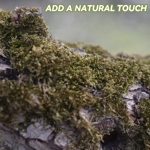 Musgo Seco Moss Habitat, 2 Paquetes
