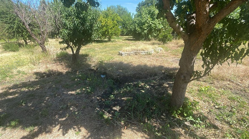 Venta Quinta Con Estanque Propio