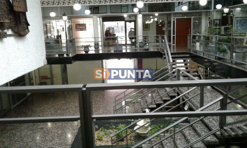 Imagen 2 de 2 de Oportunidad Única