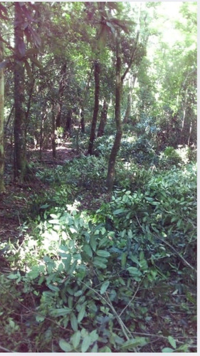 Terreno En Venta De 1 Hect Ubicado En Santo Pipó