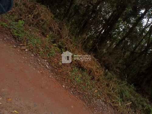 Imagem 22 de 25 de Terreno, Dos Neves (caucaia Do Alto), Cotia - R$ 75 Mil, Cod: 4255 - V4255