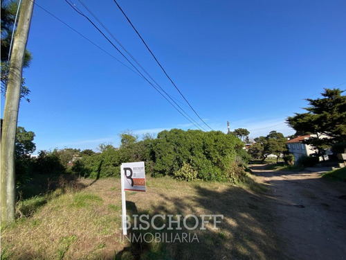 Venta De Lote En Ostende Calle Moreno
