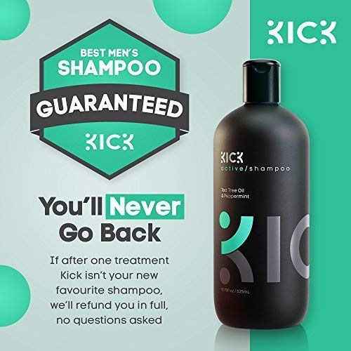 Shampoo Kick Sem Sulfato Com Hortelã E Melaleuca 500ml