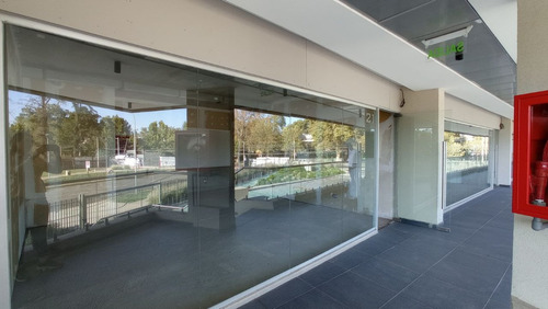 Local Comercial Para Arriendo - Alto Pajaritos