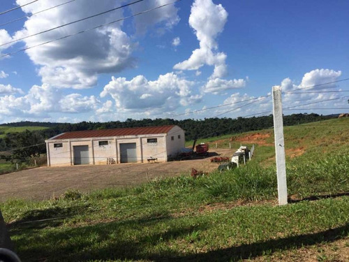 Imagem 5 de 14 de Fazenda No Paraná - Cidade Japira-pr - 7700
