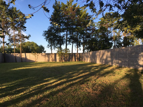 Brega, Lote En Venta, Sobre Avenida, Cercado, Arana