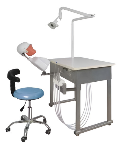 Fantoma Dental Maniquí Con Tipodento Práctica Odontología