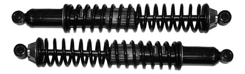 Monroe Shocks & Struts 58647 - Amortiguador Y Muelle Helicoi